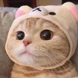 See头像