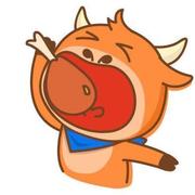 buzheng的个人资料头像