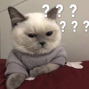 不能吃的16的个人资料头像