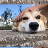 聪颖沙滩yoc头像