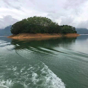 小岛头像