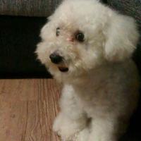 静观众妙11头像