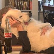 刘三十的个人资料头像