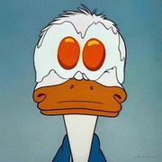 天选荷包蛋的个人资料头像