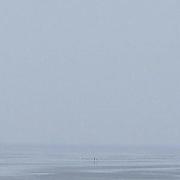 丁家宝老A的个人资料头像