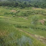 用户6652782190567头像