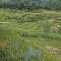 用户6652782190567头像