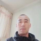 丰富泊乐头像