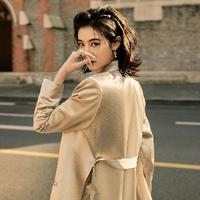芜湖名人大司马王传福头像