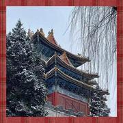 雪舞轻舟的个人资料头像