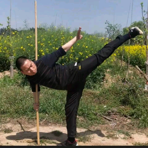 凌波微步刘宏伟头像