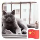 tang的个人资料头像