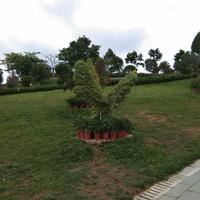 文艺杰斯2A0头像