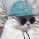 67同学的个人资料头像