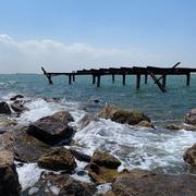 ChasingTarget的个人资料头像