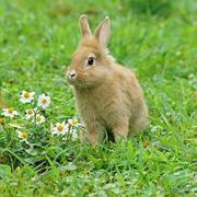 黔汀的个人资料头像
