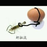 小石头8723头像