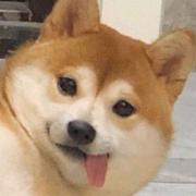 Centerless_person的个人资料头像