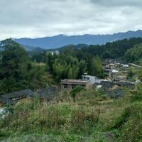 爱你宝贝2077头像