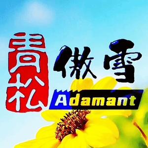 青松傲雪Adamant头像