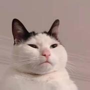 Ooooooon的个人资料头像