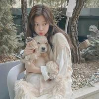 不吃渝摆摆头像