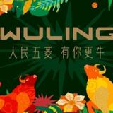 牛哥V587头像