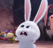 杨坤coding的个人资料头像