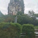 锋锋头像