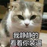 小布丁厉害点丶头像
