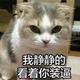 小布丁厉害点丶头像