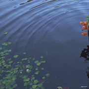 海謡的个人资料头像