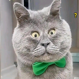 别接近会很伤头像