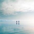 LanT1an的个人资料头像