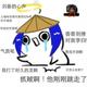 耶耶瞳头像