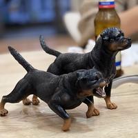 呱呱的蜗牛头像