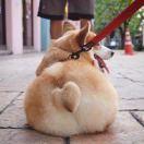 Let本尊106409的个人资料头像