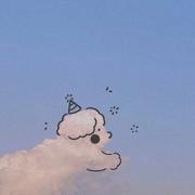 王宝刚的个人资料头像