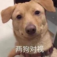 吃饱了嘛头像