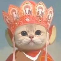 哎呦无敌了头像