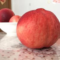 用户8860164424183头像