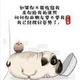 十二72021头像