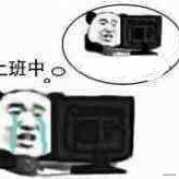 泡菜很烦的个人资料头像