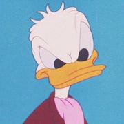 可达鸭968的个人资料头像