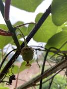 不能摸鱼就钓鱼的个人资料头像