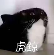 一一得一的码工的个人资料头像