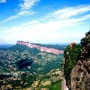 大树不大的个人资料头像