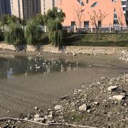 我行我努力的个人资料头像