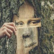 irenjj的个人资料头像