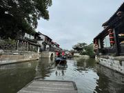 哈哈猫的个人资料头像